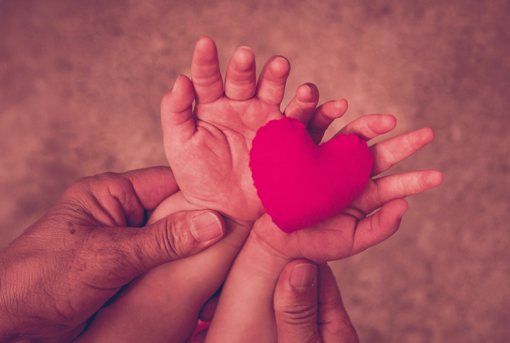 Herzensspende Eine erwachsene Hand hält die kleinen Hände eines Kindes, darin ein rotes Stoffherz – ein starkes Bild für menschliche Nähe und Solidarität.