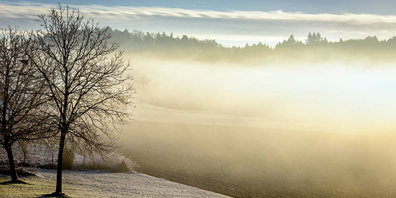 Blog Gravidanza - Carenza di vitamina D. Qual è l'effetto di una carenza di vitamina D3? I sintomi includono nervosismo, insonnia, problemi circolatori, svogliatezza, debolezza muscolare e possono anche causare stati d'animo depressivi. Potete leggere di più su questo argomento nel blog sulla gravidanza.