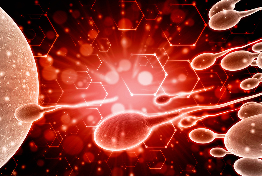 Der Moment der Befruchtung Spermien erreichen die Eizelle – eine Visualisierung des faszinierenden Moments, in dem neues Leben beginnt.