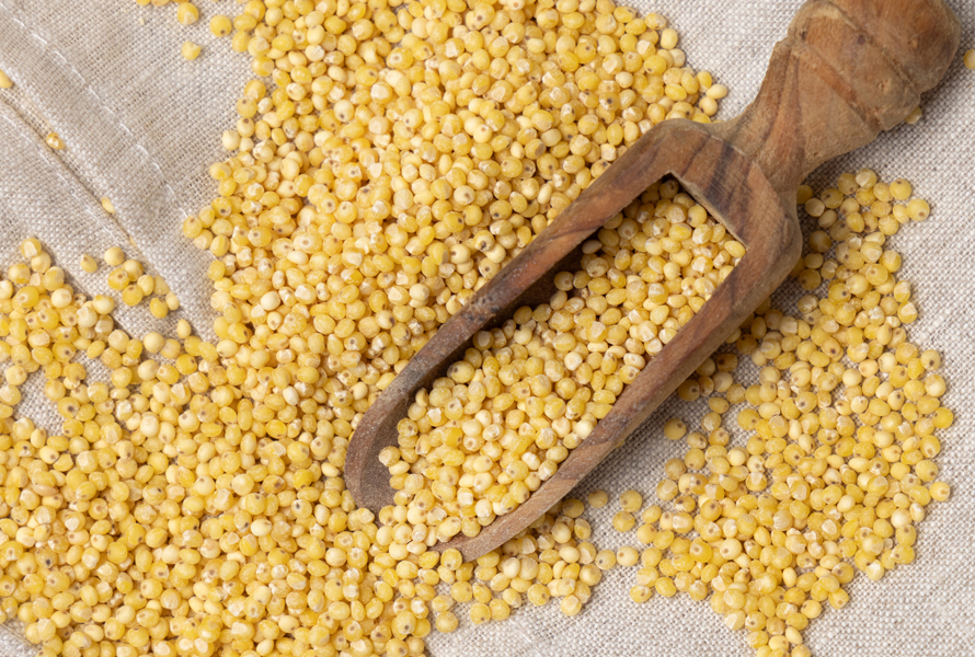 Hirse & Pseudogetreide als Eisenquelle Getrocknete Hirse, Quinoa und Amaranth enthalten nennenswerte Mengen an pflanzlichem Eisen. Perfekt zur Unterstützung einer ausgewogenen Ernährung in der Schwangerschaft.