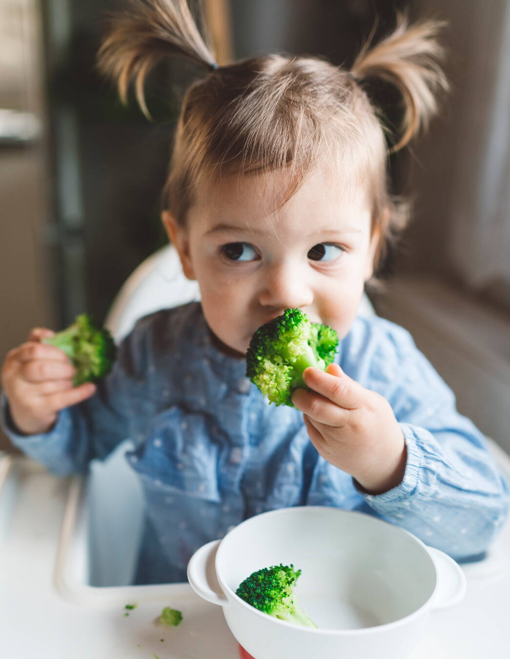 Kleinkind-Fingerfood: kleine Happen, grosser Genuss Entdecken Sie einfache Fingerfood-Rezepte für Babys und Kleinkinder. Ideal für kleine Hände, voller Nährstoffe – perfekt für den Alltag oder unterwegs.